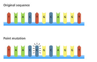 dna_mutations_point_mutation_yourgenome
